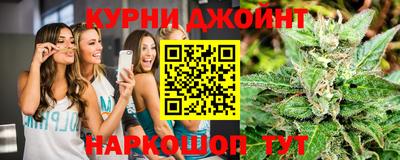 гашик Тулун
